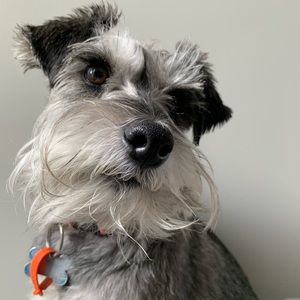 Meet your Posher, Philippa